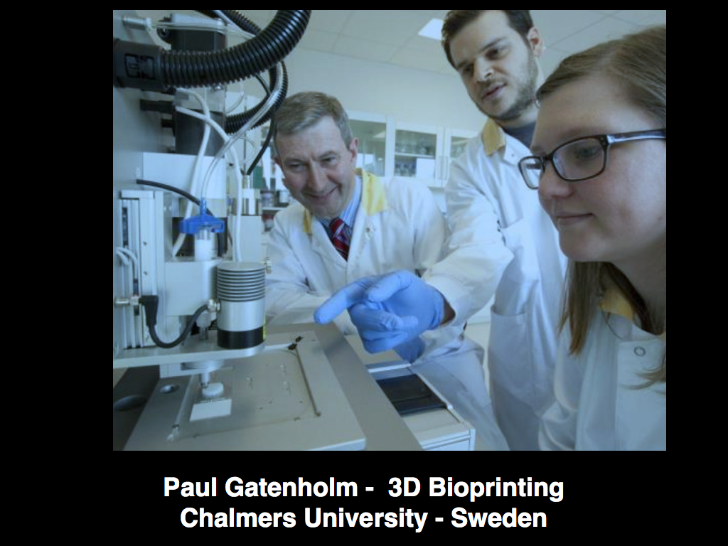 Pat-Gatenholm
