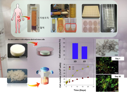 stem-cell-expansion-process