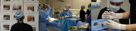 stem cell surgery