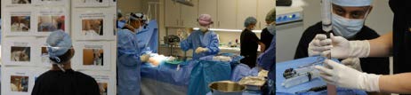 fat-derived stem cells