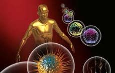 regenerative medicine