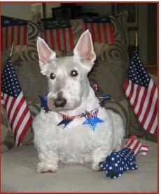 lewis j obi dog
